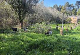 Quinta Sintra - 10 minutes from the Town Center - 5 minutes IC19-A16