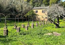 Quinta Sintra - 10 minutes from the Town Center - 5 minutes IC19-A16