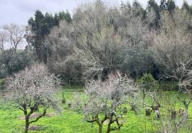Quinta Sintra - 10 minutes from the Town Center - 5 minutes IC19-A16