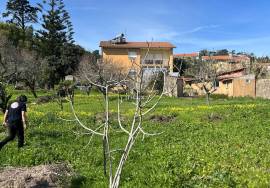 Quinta Sintra - 10 minutes from the Town Center - 5 minutes IC19-A16