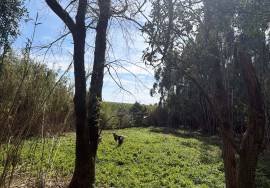 Quinta Sintra - 10 minutes from the Town Center - 5 minutes IC19-A16