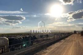 Farm Patrocínio Alto Paranaíba