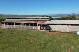 Furnas Peninsula: Luxury Farm with 1,481ha and 25km of Water Bank
