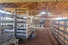 Furnas Peninsula: Luxury Farm with 1,481ha and 25km of Water Bank