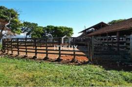 Furnas Peninsula: Luxury Farm with 1,481ha and 25km of Water Bank