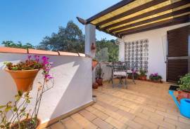 Charming 2+ Bedroom Villa with Pool for Sale in São Brás de Alportel, East Algarve