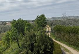 Ronda Blossom View Country Property Ronda Blossom View Country Property
