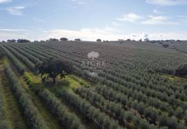 Farm Évora Farm Évora
