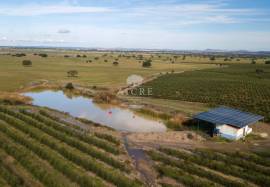 Farm Évora Farm Évora