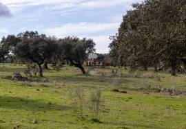 Farm Évora Farm Évora