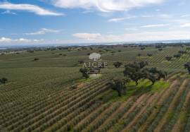 Farm Évora Farm Évora