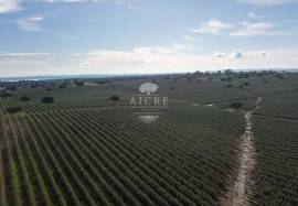 Farm Évora Farm Évora
