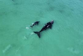 Pure Sea Boutique Lodge For Sale in Danger Point South Africa