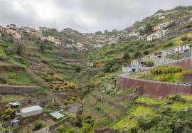 Land for sale in Câmara de Lobos