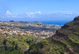 Land for sale in Câmara de Lobos