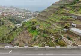 Land for sale in Câmara de Lobos