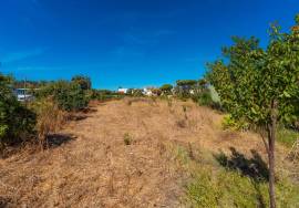 Land for Rent – Ideal for Rent-a-Car / Logistics – 3,500 m² – Faro Airport