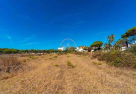 Land for Rent – Ideal for Rent-a-Car / Logistics – 3,500 m² – Faro Airport