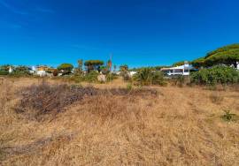 Land for Rent – Ideal for Rent-a-Car / Logistics – 3,500 m² – Faro Airport
