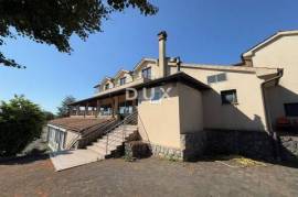 MATULJI, ŠAPJANE - detached house (commercial building 780 m2) + 3,484 m2 of garden! OPPORTUNITY!