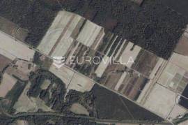Petrijevci - Agricultural Land for Sale with Pear Orchard, 36,028 m²