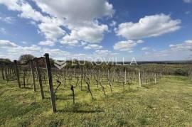 Batina - land with a vineyard and a beautiful view, 3,274 m²