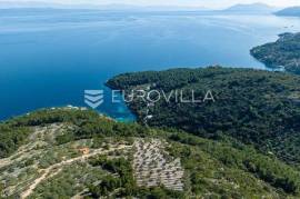 Island of Korčula, Blato, agricultural land with two small stone house ruins.