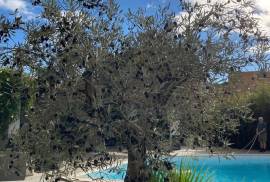 Superb Fully Renovated Contemporary Villa In A Secure Residence With 200 M2 Of Living Space On A 1350 M2 Plot With Petanque Court And Heated Pool.