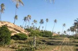 Beachfront plot Barra do Itariri 40.000 m² - 12029