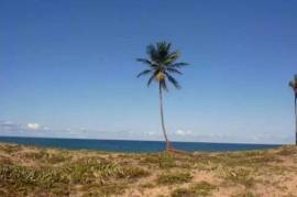 Beachfront plot Barra do Itariri 40.000 m² - 12029