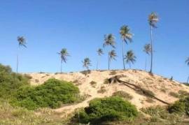 Beachfront plot Barra do Itariri 40.000 m² - 12029