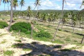 Beachfront plot Barra do Itariri 40.000 m² - 12029