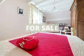 Detached Villa with Swimming Pool