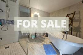 Detached Country House with Guest GIte