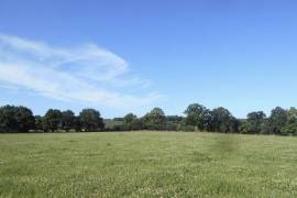 Farm House to Renovate in the Countryside