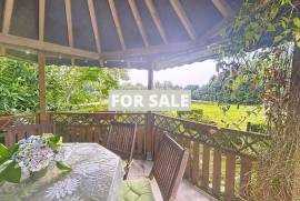 Detached Country House with Lake and Land
