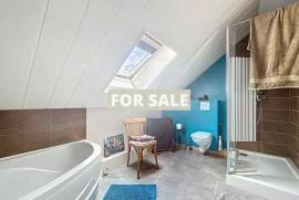Detached Country House with Lake and Land