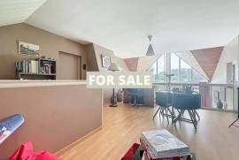 Detached Country House with Lake and Land