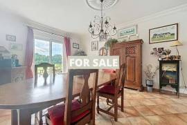 Detached Country House with Lake and Land
