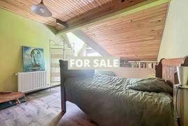 Detached Country House with Lake and Land