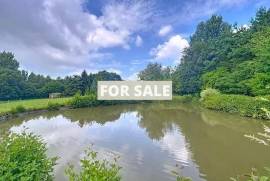 Detached Country House with Lake and Land