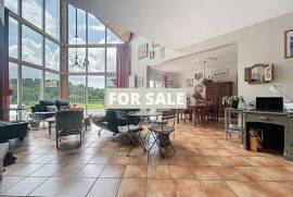 Detached Country House with Lake and Land
