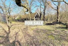 Detached Country House with Land