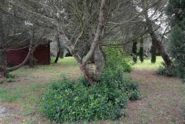 Building Plot of 1585m2