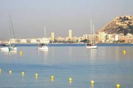 1 Bedroom - Apartment - Alicante - For Sale - N7792