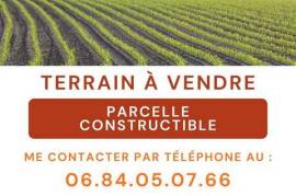 Un écrin de verdure en plein centre