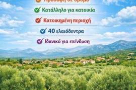 For Sale: Plot of Land 2,024 sq.m. in Avramiou, Messinia. With frontage on the road & panoramic view of the plain & olive oil production up to 500 kg/year | Avramiou, Messinia