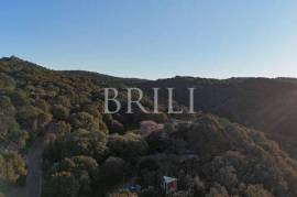 Gallura autentica: charme rurale e investimento nel cuore della natura