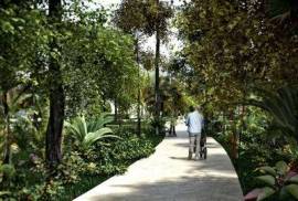 Land - Quintana Roo - For Sale - PLA4868749
