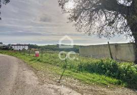 Land Caldas da Rainha